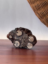 Load image into Gallery viewer, 1970's "Artensia Rinconada" Handmade Animal Sculptures Made in Uraguay