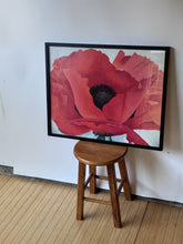 Load image into Gallery viewer, Vintage Framed Georgia O&#39;Keeffe Poppy Print