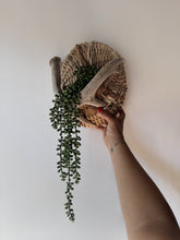 Load image into Gallery viewer, Handcrafted Woven Basket &amp; Antler