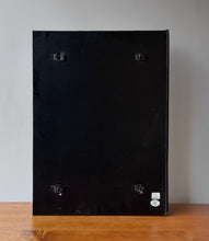Load image into Gallery viewer, Urban Outfitters "Plymouth Sliding Storage Mirror"