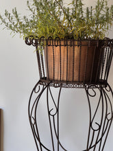 Load image into Gallery viewer, Antique Wrought Iron Planter