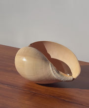 Load image into Gallery viewer, Vintage Conch Shell