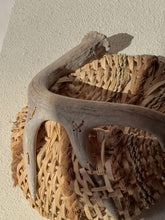 Load image into Gallery viewer, Handcrafted Woven Basket &amp; Antler