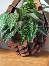 Load image into Gallery viewer, XL MCM Brutalist Wooden Plant Hanger