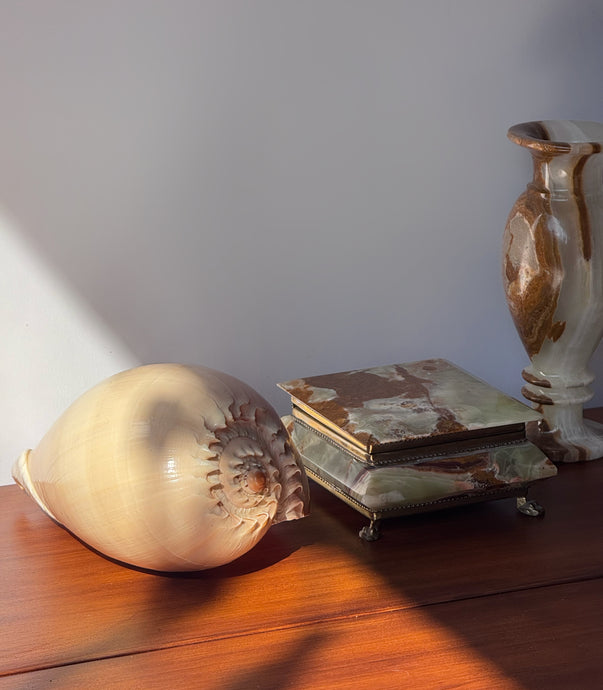 Vintage Conch Shell