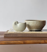Load image into Gallery viewer, FF Vintage Tiny Shell Planter