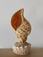 Load image into Gallery viewer, 1970&#39;s Shell Lamp