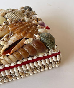 Antique Seashell Box- Small