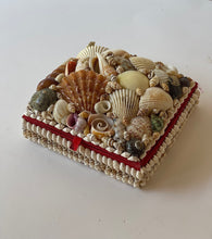 Load image into Gallery viewer, Antique Seashell Box- Small