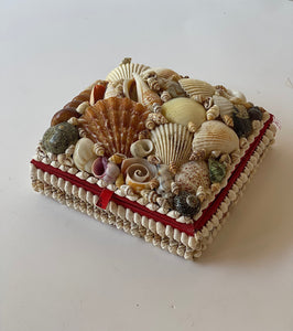 Antique Seashell Box- Small