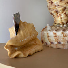 Load image into Gallery viewer, 1996 UNDO Conch Card Holder