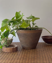 Load image into Gallery viewer, Textured Studio Pottery Planter